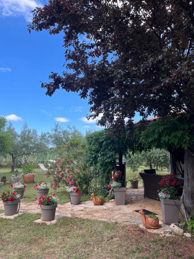Holiday Home Villa Le Punte Rovinj